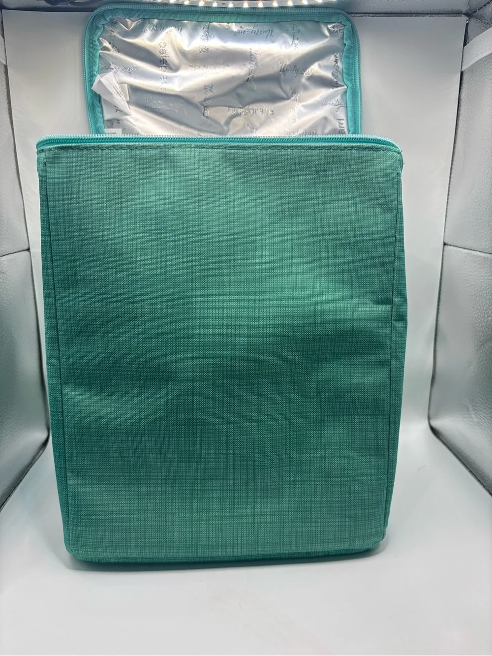 thirty-one Teal Insulated Garment Storage Bag